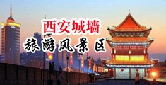 黄片大屌操操操中国陕西-西安城墙旅游风景区